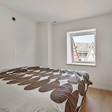 Goedendag 4v * 코크시데